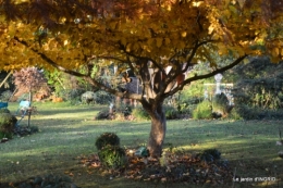 canal,automne,tonte des feuilles 094.JPG