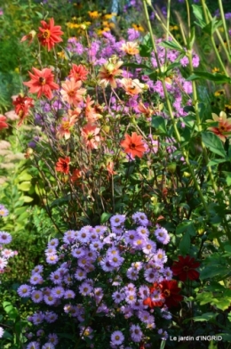 male ancienne,septembre jardin,couronne,bouquet 054.JPG