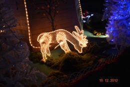 Noel,ferme illuminée