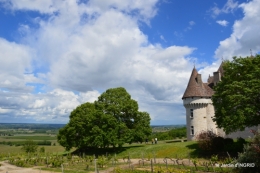 Julie,Lalinde,Cygnes,Roses,Osier à Monbazillac 090.JPG