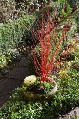 chevreuils,givre jardin et canal,marché de Noel Sarlat 012.JPG