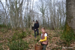 jonquilles dans les bois 020.JPG