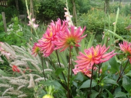 été
