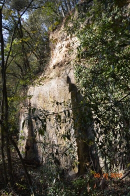 petit houx,colline