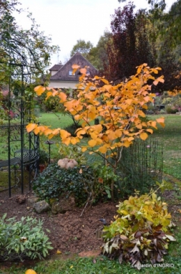 les arbres en automne,cabane 043.JPG