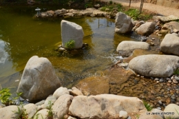 les jardins d'eau de Carsac 110.JPG