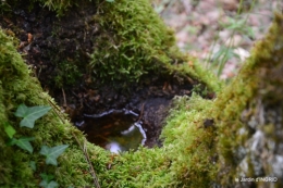 jardin,st Astier,colline 049.jpg