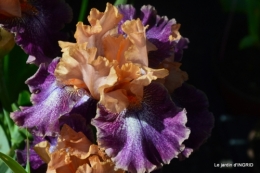 muguet,féte des fleurs Lalinde,jardin 084.JPG