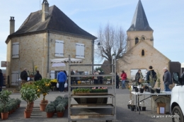 courrier,fête de l'arbre,mimosa,filles 029.JPG