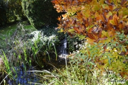 anniversaire Mamy,chateau d'eau,jardin automne 087.JPG