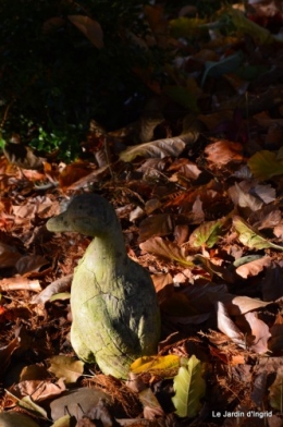 dernières automne,givre,chat 062.JPG