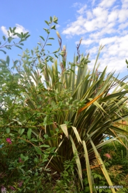 inondation,jardin,oeufs cygnes,chez Nathalie 075.JPG