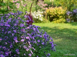 male ancienne,septembre jardin,couronne,bouquet 041.JPG