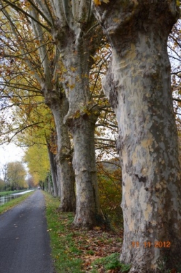 le canal,le banc