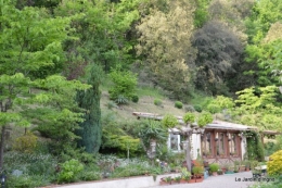 jardin,premières roses,colline,avant l'orage 009.JPG