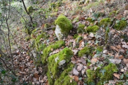 colline,crèche,taille 046.JPG