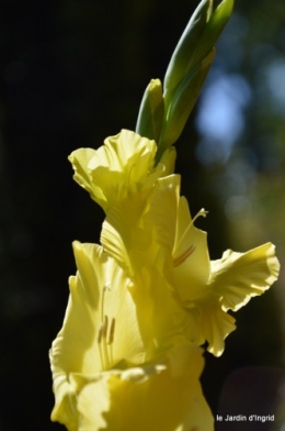 coulobre,Romane,jardin,Lamonzie Monstatruc,les filles 198.JPG