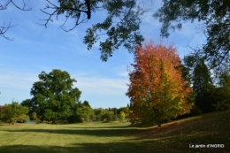 La Romieu,Coursiana,chez Renée,Ginkgo biloba 129.jpg