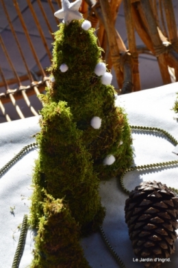 automne jardin,marché de noel Sarlat,noel maison 105.JPG