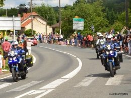 tour de France,jardinde Mme Peyrichou 133.JPG