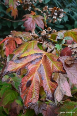 couleurs d'automne,bouquet,lune 019.JPG