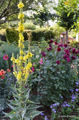 dahlias,jardin,puces st Avit Seigneur,Paniers Issigeac,Romane 042.JPG