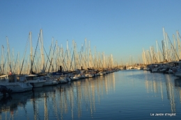 l ile de Ré,jardin automne 137.JPG