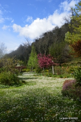 le printemps ,paquerettes,tonte,Anni. Jérome 084.JPG