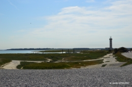 la baie de Somme 051.JPG