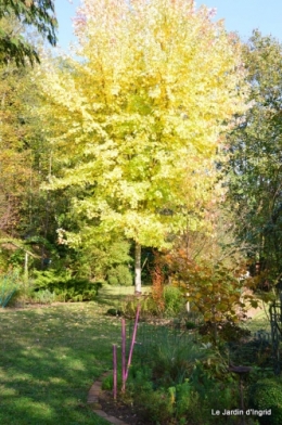 jardin automne,Arya avec Nicky 103.JPG