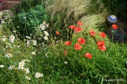 portes ouvertes,taille marguerittes,jardin 040.JPG