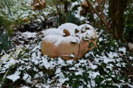 oiseaux première neige 046.JPG