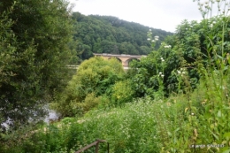 sentier des cygnes,hémérocalles,bouquet,jardin 099.JPG