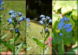 2015-07-12 puces à Cadouin,sieste.jpg