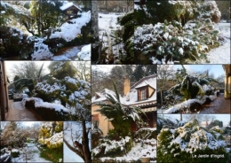 2023-01-20 Neige en dordogne,jardin.jpg