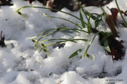 Neige en dordogne,jardin 203.JPG