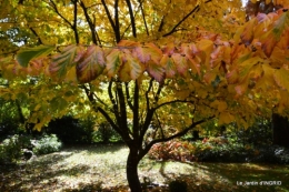 les arbres en automne,cabane 082.JPG