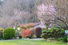 primevères ,jardin 039.JPG