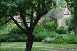 jardin,chez Bernadette,puces,cygnes,pluie 189.JPG