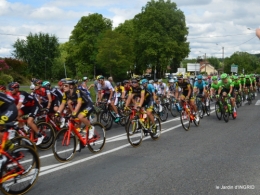 tour de France,jardinde Mme Peyrichou 142.JPG