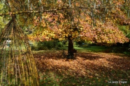 automne,arbres,inondation 101.JPG