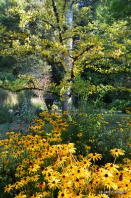 mon coin,Monique,les oies,mon jardin 041.JPG