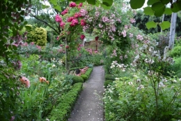 jardin,potager,roses,sauges 008.JPG