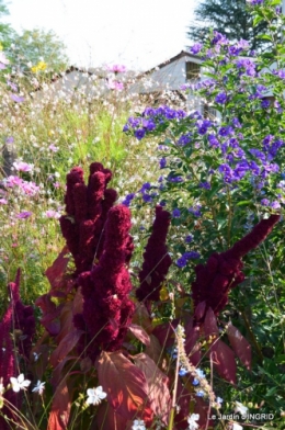 jardin Mme Perichou,grandes fleurs,bouquet,jardin 011.JPG