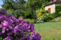 tournesols,podium,Lucas,jardin,Calès 137.JPG