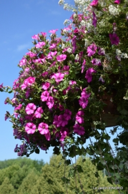 jardin,les filles,gerbera,Lalinde 130.JPG