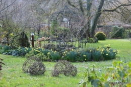 jonquilles,fête de l'arbre,jardinage,bouquet 030.JPG