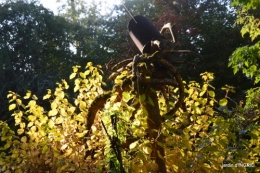 Jardin à l'automne 084.JPG