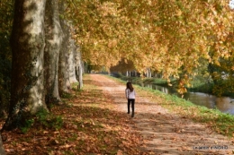 canal automne ,jardin,Ines 104.JPG