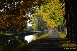 jardin automne,voisinage,canal 174.JPG